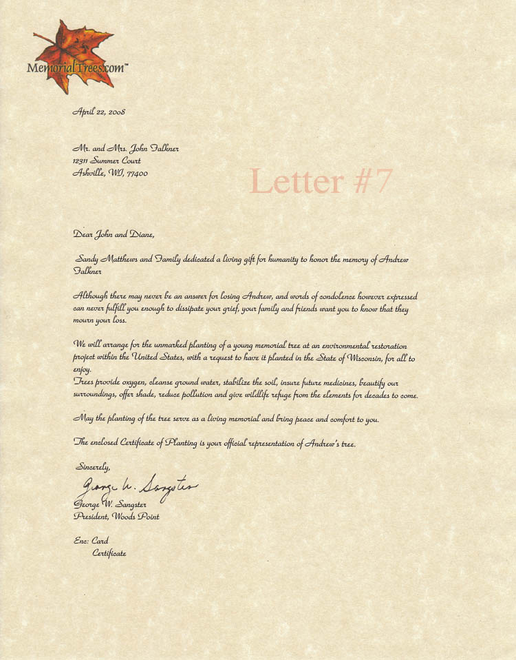 Sympathy Letter for adult
