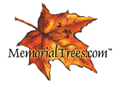 A memorial tree is the ideal way to remember the passing of a loved one.